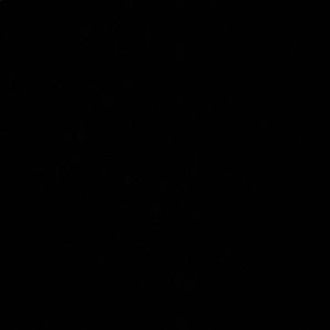 Meet your Posher, Maryn